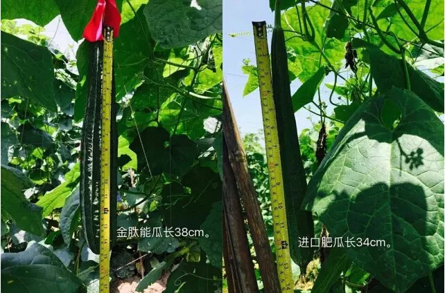 婀栧寳鏋濇睙涓夊畞,婀栧寳涓夊畞濂藉悧