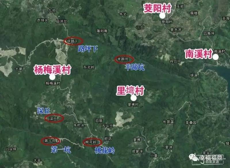 秘境杨梅,安吉杨梅溪