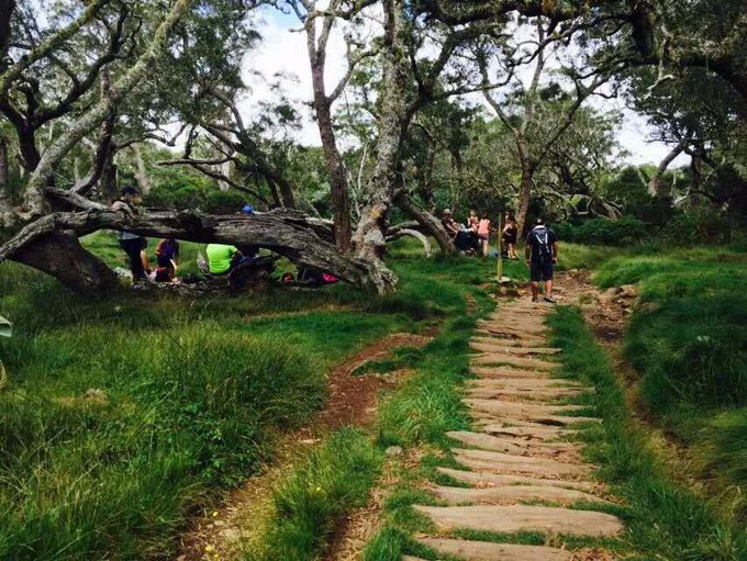 留尼汪有什么,留尼汪英文怎么读