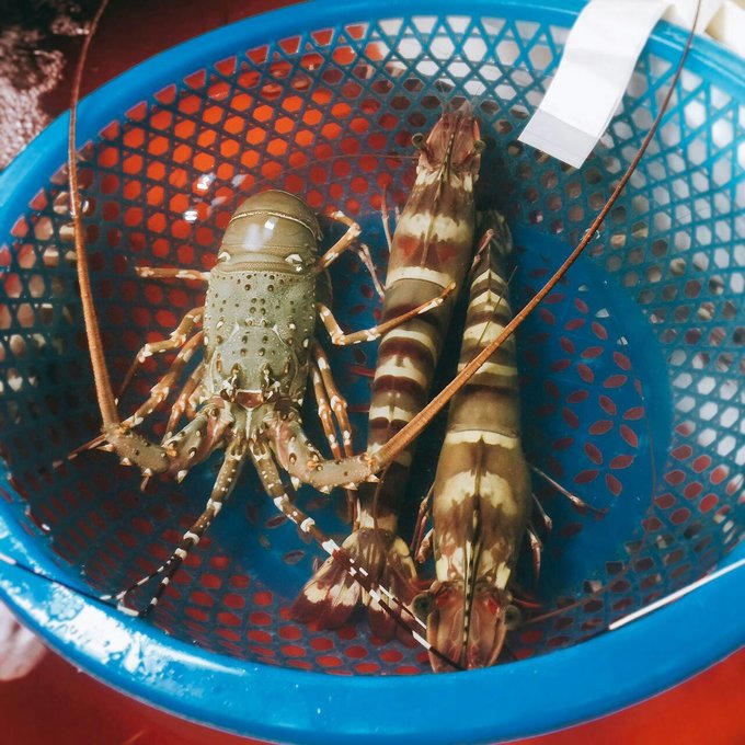 普吉岛7天自由行攻略,普吉岛出岛游蜜月岛一日游