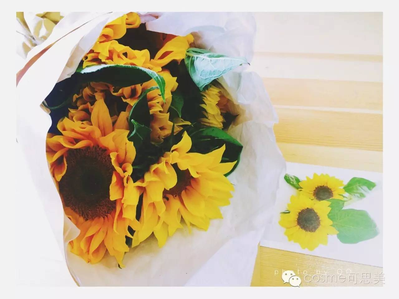 猴年马月终来到每天都想用的大容量面膜助你打造光辉美肌