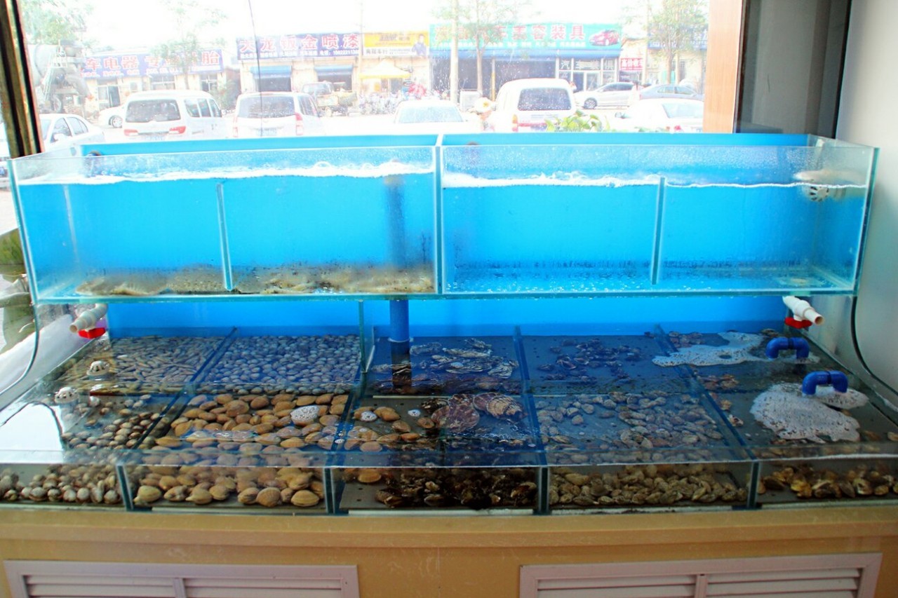 威海的海鲜,威海哪里能吃到最好吃的海鲜大咖