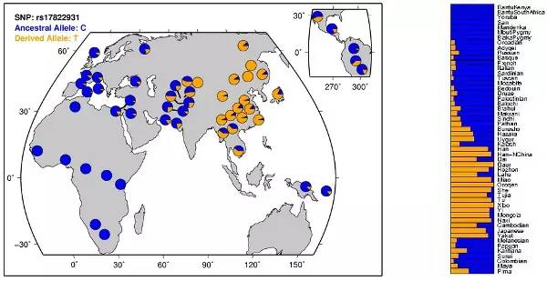 健康│狐臭是怎么产生的？如何让狐臭对别人造成的影响最小化？