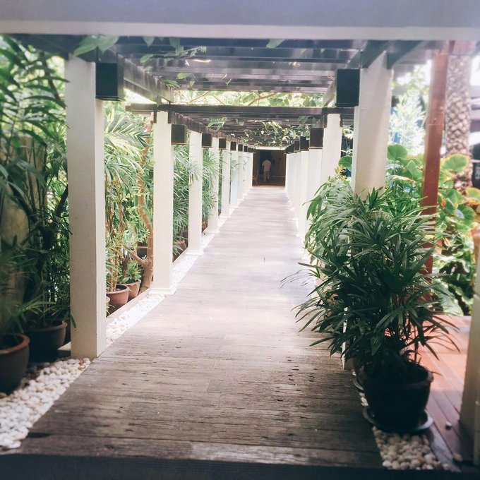 普吉岛7天自由行攻略,普吉岛出岛游蜜月岛一日游