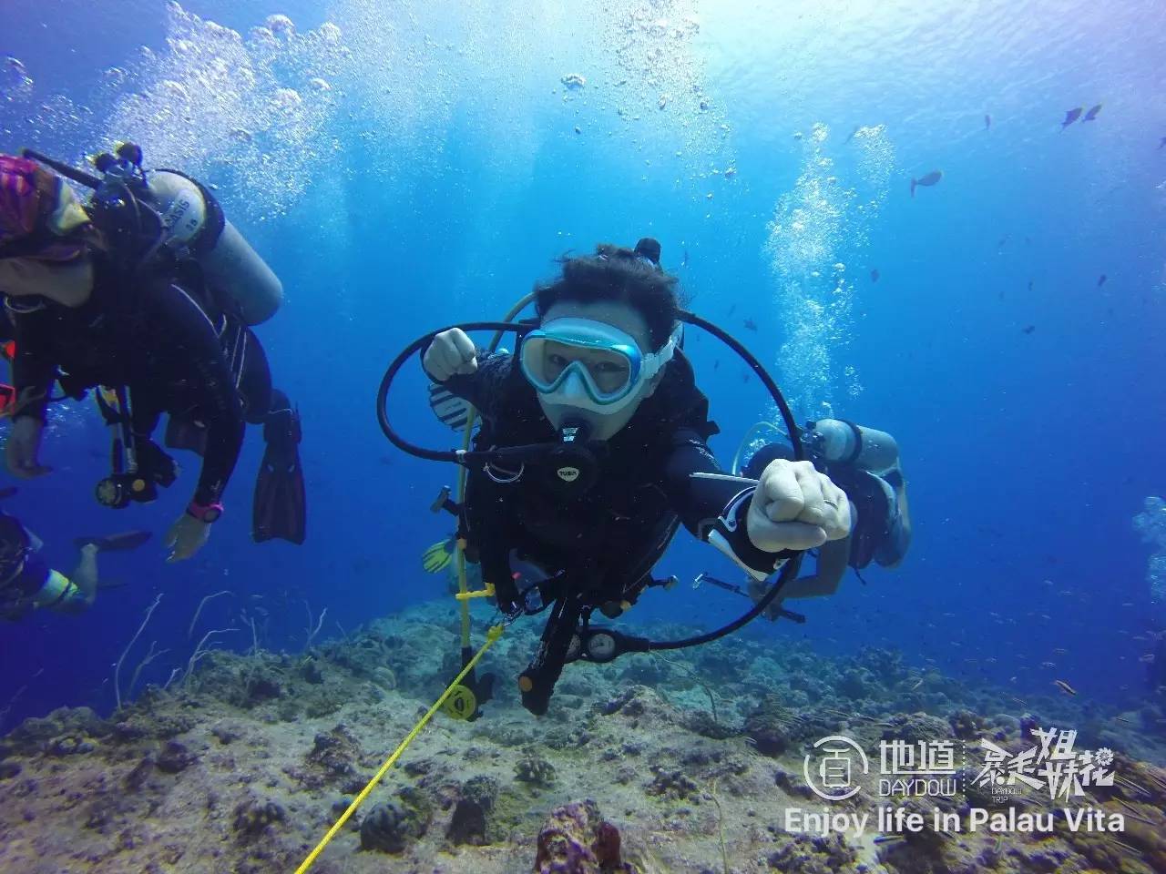 帕劳怎么玩,帕劳要准备什么