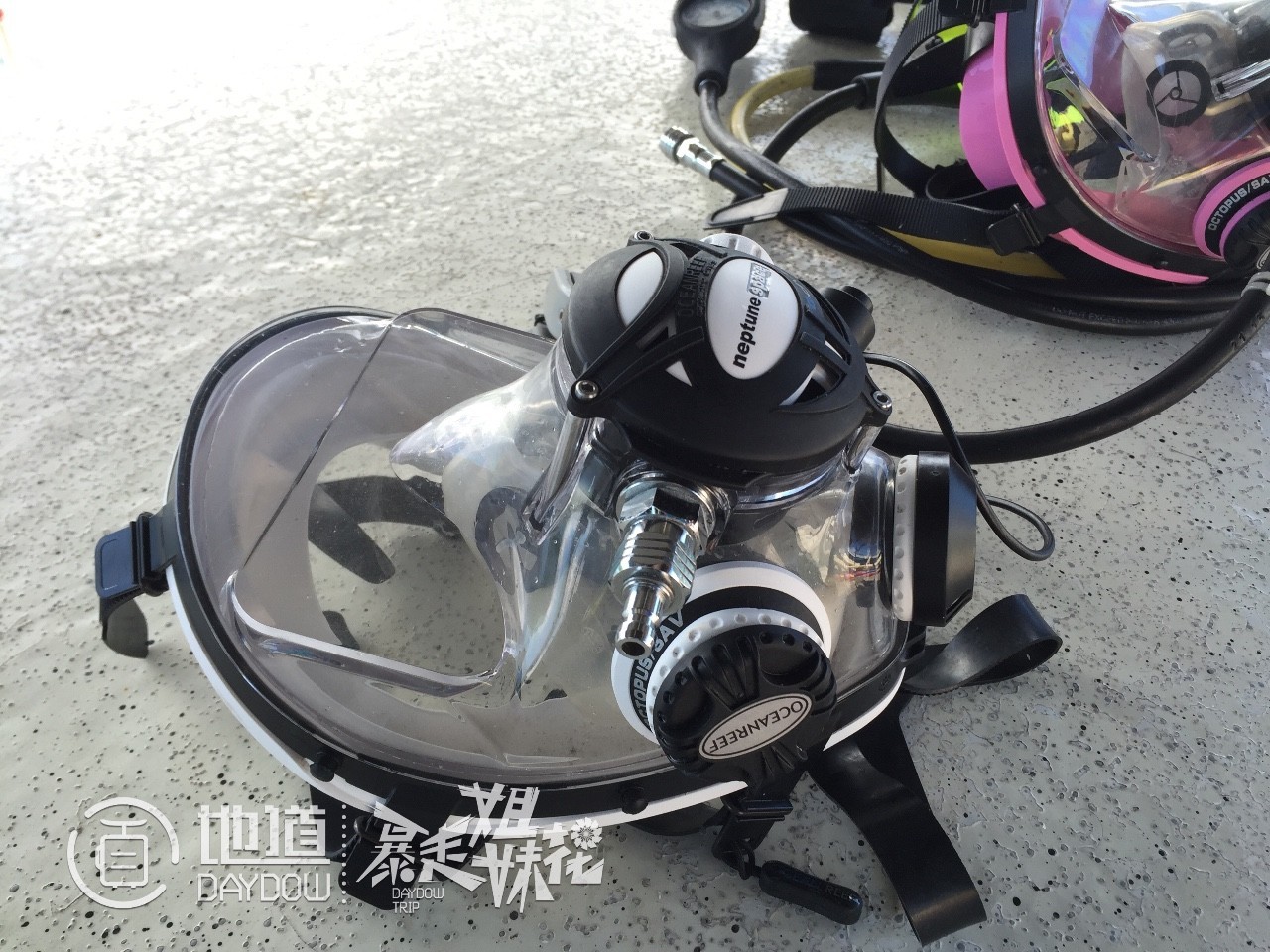 帕劳怎么玩,帕劳要准备什么