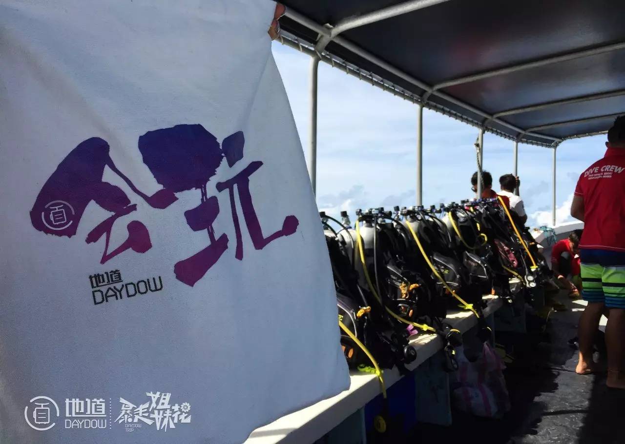 帕劳怎么玩,帕劳要准备什么