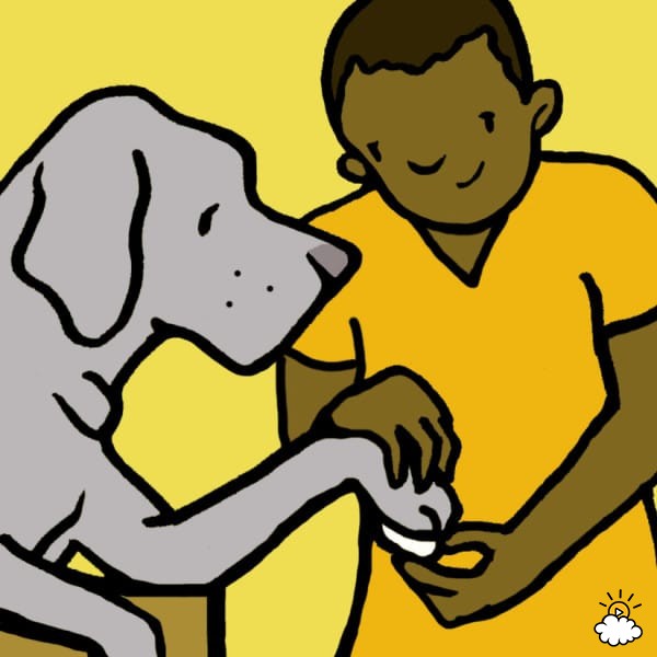 狗狗牙龈舌头发白是怎么回事,狗狗牙龈发炎吃甲硝唑吃几片