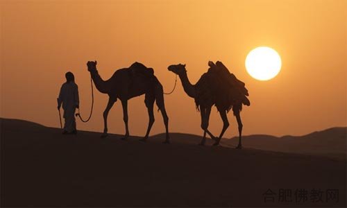 藏传佛教活佛转世三大原则,多智钦仁波切历代故事集