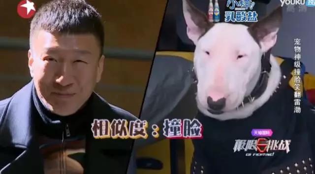 极限挑战第二季最后一期排名,极限挑战收视率破2