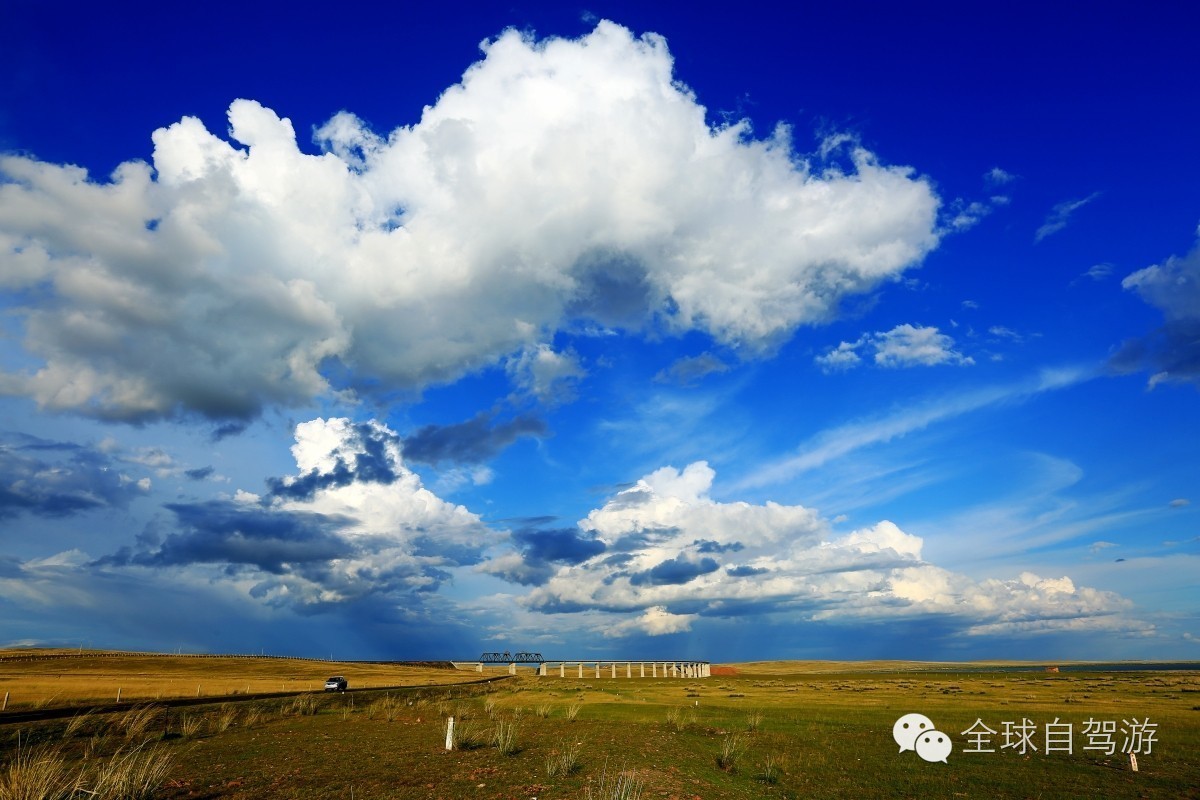狼图腾草原旅游,大草原旅游攻略乌拉盖
