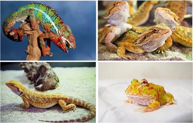 太原惊现史上最虐心的蝶萤文化节！爱我就带我去与蝶共舞、与萤作