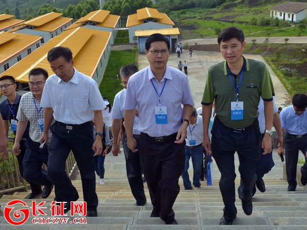 贵州普安长毛兔,黔西南普安县长毛兔