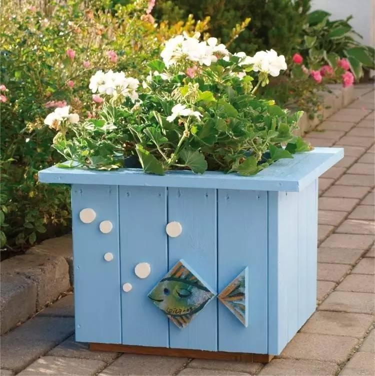 各种花盆搭配什么绿植,适合搭配装饰花盆的小植物