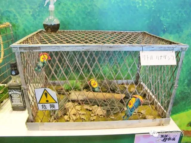 传说中的“丑萌界”鼻祖屁桃君，它终于来魔都啦！