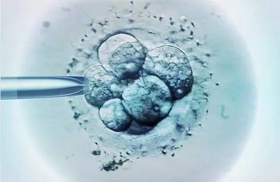 惊人！最新调查美国惊现351家“莆田系”诊所，出售未经检验和审核的干细胞疗法