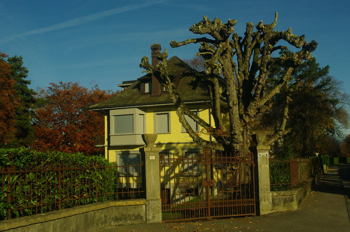 日内瓦二日游,瑞士日内瓦一日游