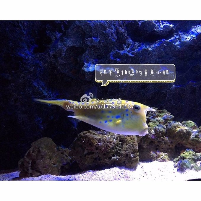 泰国普吉岛3日游攻略2015,泰国曼谷普吉岛照片