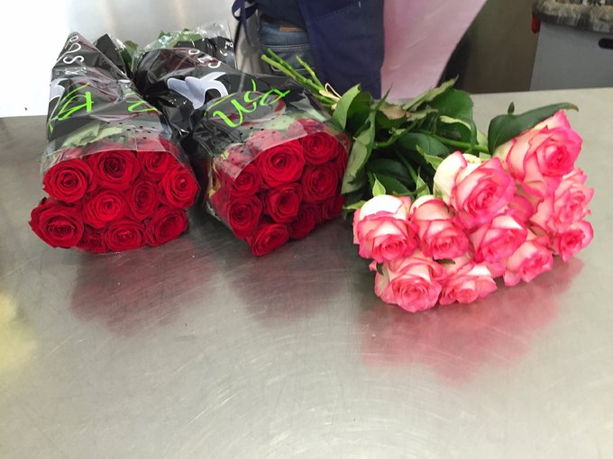 travel的一天,巴黎周末游玩攻略中文