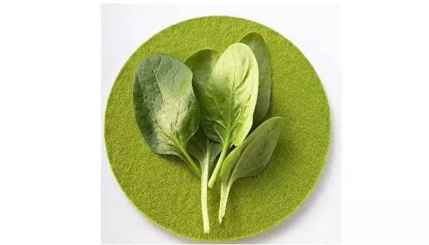 哥本哈根减肥食谱app,哥本哈根减肥食谱全部