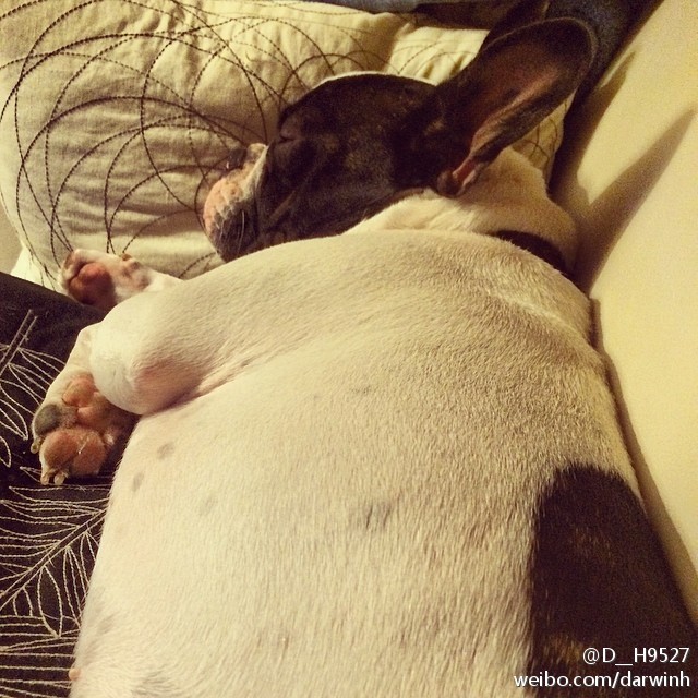 激萌祛痘了怎么恢复,激萌正确使用法