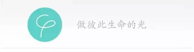 双面俏佳人小说,双面俏佳人第三部小说