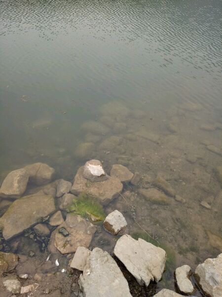 被甲鱼咬了要不要打狂犬疫苗,被鳖咬伤要打狂犬病疫苗吗