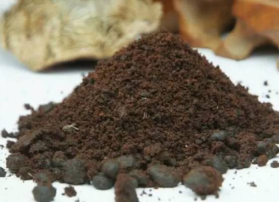 麝香导致流产的剂量,麝香壮骨膏会引起流产吗