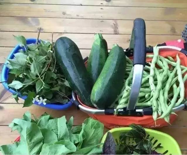 九个理由电影完整版,九个理由