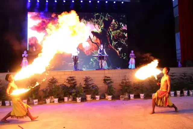 太原投资2000万风情文化节！引来50万只萤火虫！20万只蝴