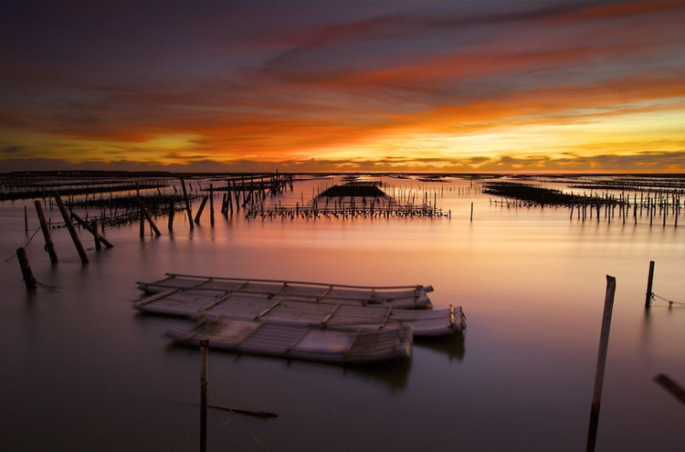 为什么一上火就有脚气,脚气到底是血热还是湿热下注