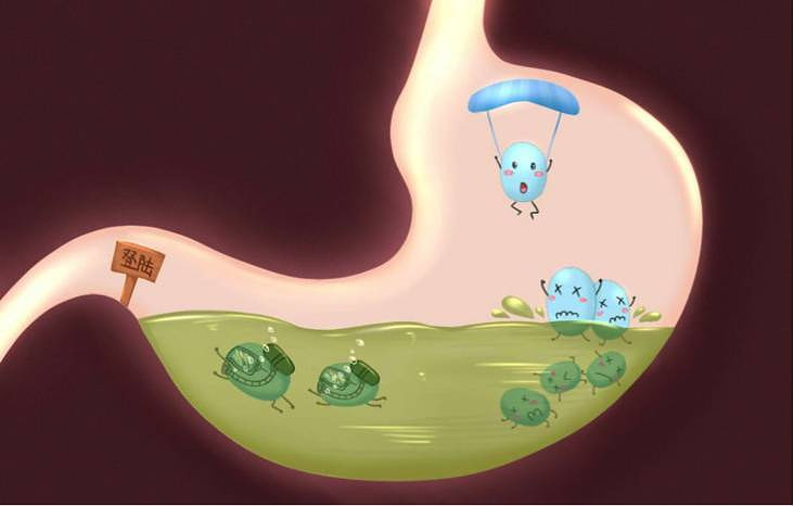 宠佑家：与众不同才是它最大的优势--灭活乳酸菌制剂