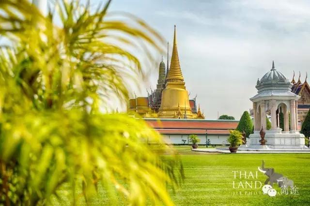 怎么出国当司机,最简单出国当司机