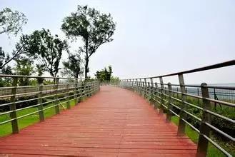 吃完这100种美食、看过这100种风景，可能再也离不开太仓！