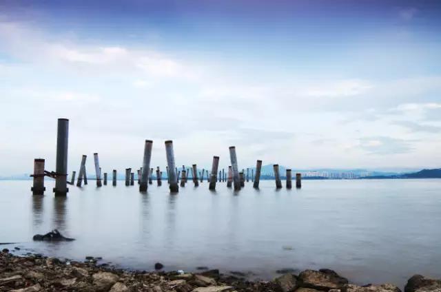 还你一个五星级的深圳湾！水质变清，小鱼小虾都回来啦