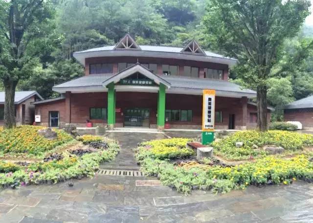 九个理由电影完整版,九个理由