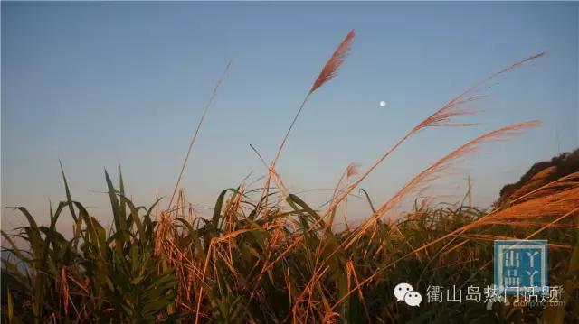 世界那么大我只想去衢山岛看看！