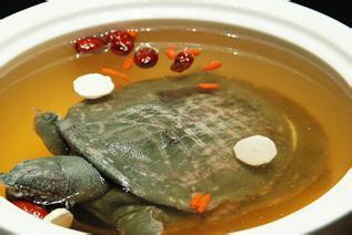 解肌通阳有汗无汗不同法