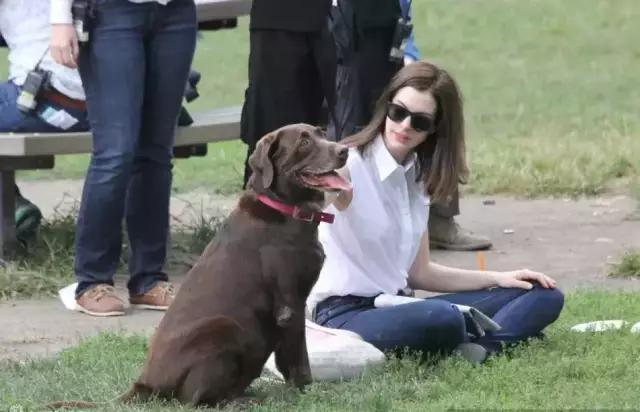 宠物可以治疗主人的疾病你知道么？