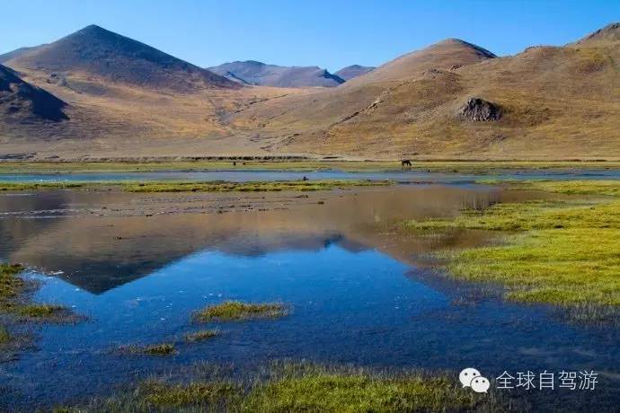 狼图腾草原旅游,大草原旅游攻略乌拉盖