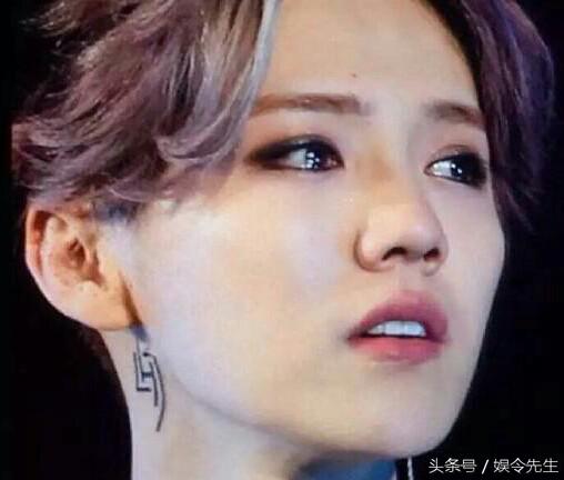 鹿晗值得,为什么那么多人对鹿晗着迷