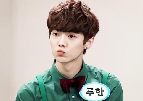 鹿晗为什么还有那么多粉丝,鹿晗粉丝为什么都那么好看