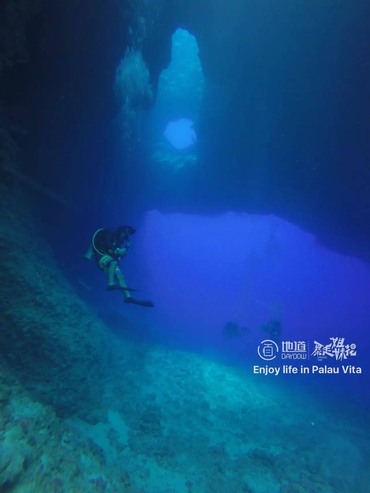 帕劳怎么玩,帕劳要准备什么