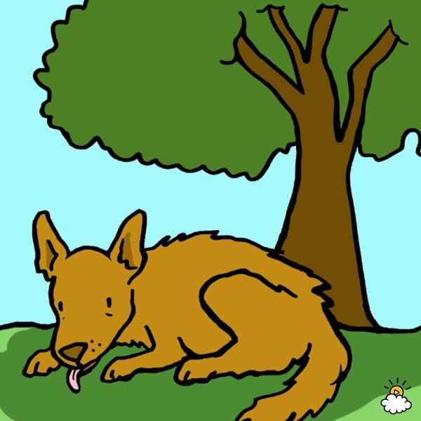 狗狗牙龈舌头发白是怎么回事,狗狗牙龈发炎吃甲硝唑吃几片