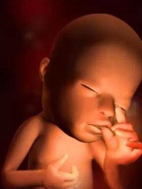 宝宝从1周到40周出生发育过程,怀孕第一周至40周胎儿发育情况