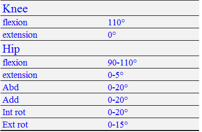 髋部骨折临床治疗与康复
