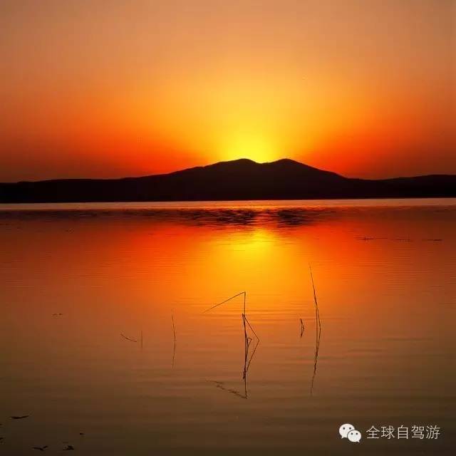 狼图腾草原旅游,大草原旅游攻略乌拉盖