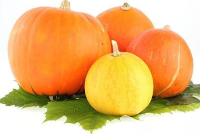 各种降糖药的介绍,降糖药是不是什么食物都可以吃