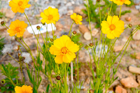 2021海岛旅游攻略,哈仙岛旅游攻略3天2晚