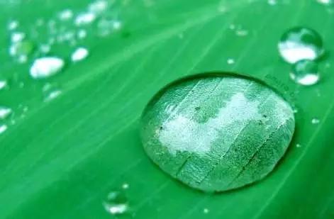 最快速的转运聚财法,聚财转运法事做了为什么没有效果